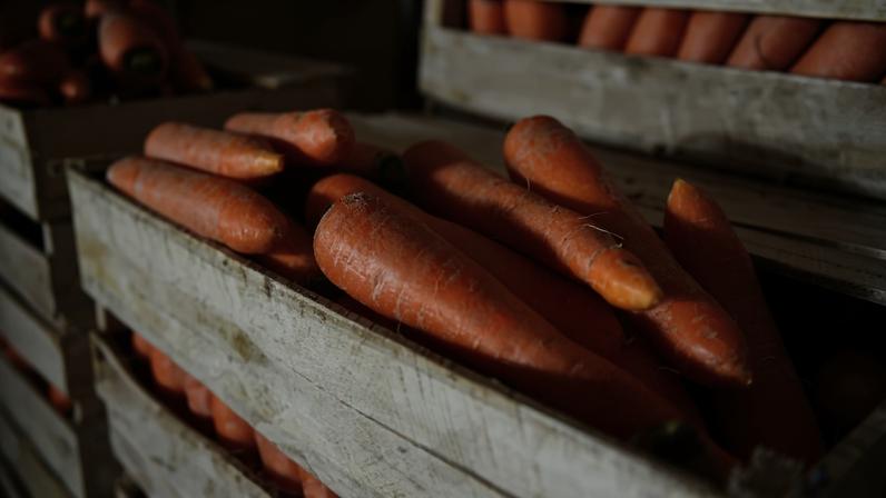 A cenoura teve uma alta nos preços superior a 30% em abril