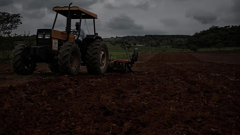 O Brasil não apenas garante a segurança alimentar de mais de 200 milhões de brasileiros, como também ajuda a alimentar boa parte do mundo.