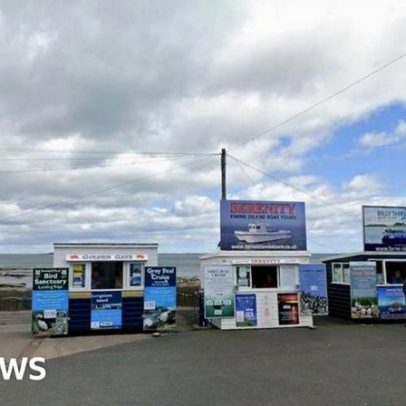 Grupo de orcas interage com barco de pesca
