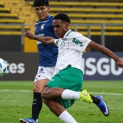 Palmeiras fecha acordo com Bertolucci e mira Europa