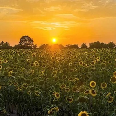 Menos mortes por calor em 2025, apesar do verão mais quente