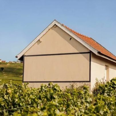 Champagne Louis Roederer mira expansão na Borgonha com compra de domínio