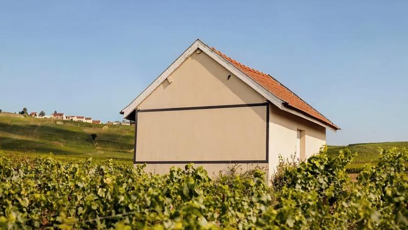 Champagne Louis Roederer mira expansão na Borgonha com compra de domínio