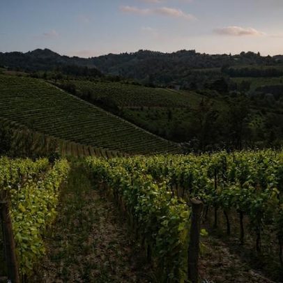 Gavi, a joia escondida de Piemonte