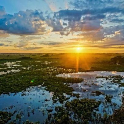 Minas Gerais fica mais próximo do Pantanal