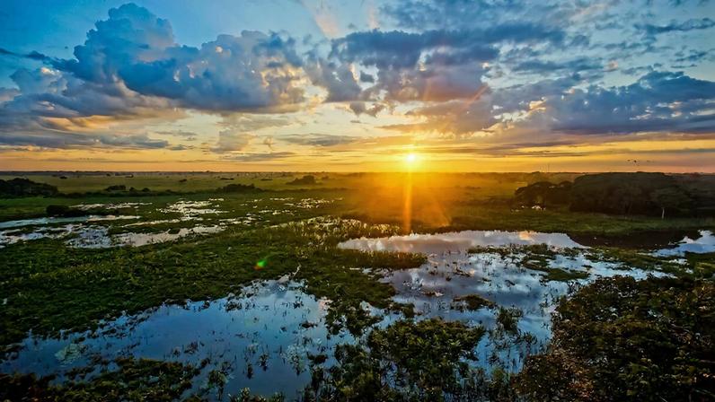 Pantanal é um dos destinos favoritos entre os turistas para apreciar as belezas naturais do Brasil