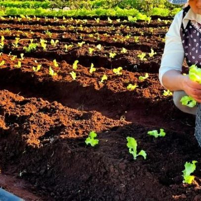 A Força Invisível do Agro impulsiona a economia