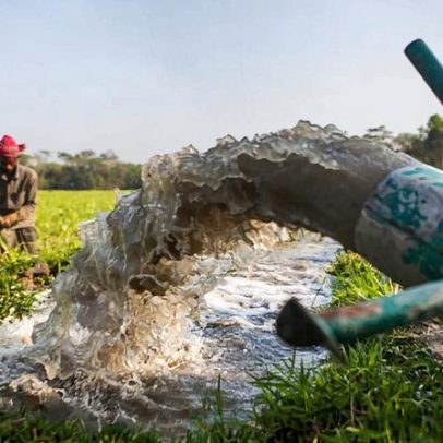 Bangladesh debate entre segurança alimentar e estabilidade do lençol freático