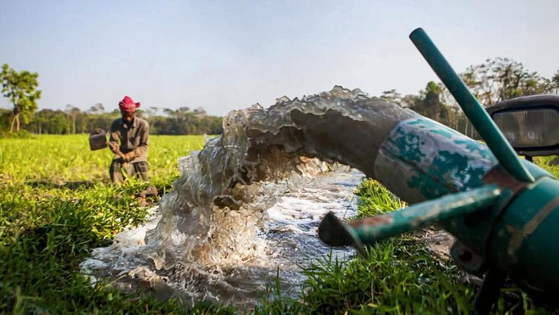 A farmer in south-central Bangladesh uses an axial flow pump to irrigate his rice field.