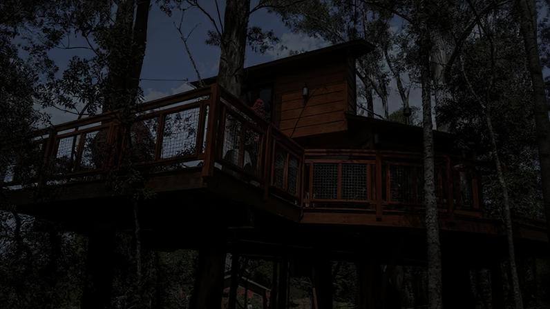 Cabana na árvore comporta até cinco hóspedes — Foto: Divulgação