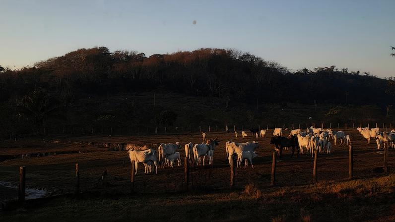Fazenda