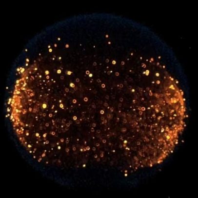 Nasa avalia experimento de incêndio controlado na Lua para estudo