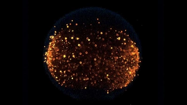 Imagem mostrando uma chama, uma das muitas acesas como parte da investigação de projeto de chamas na estação espacial — Foto: Nasa