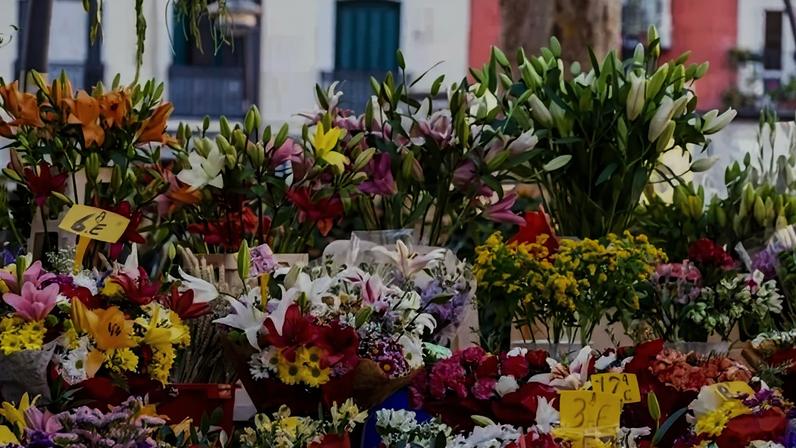 A campanha de 2026 da esquerda e dos que a apoiam é o avesso do avesso de 2002: o medo precisa vencer a esperança, diz o articulista