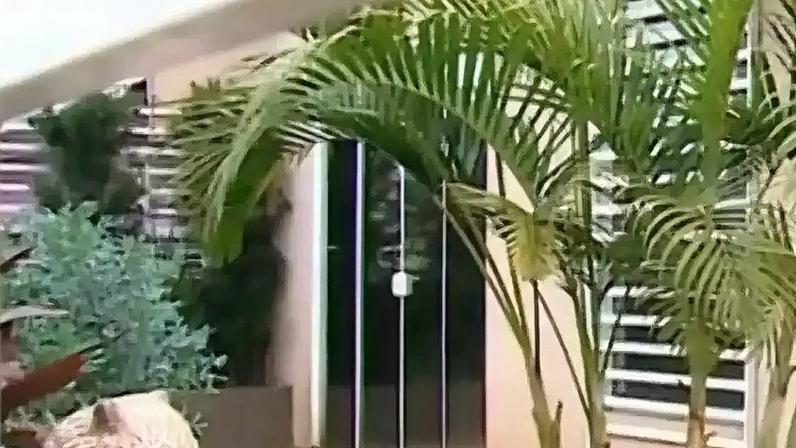 Ataque ocorreu no pátio da residência em Chapecó (SC)