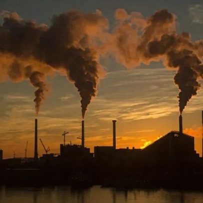 Estudo sugere filtros para aceitar créditos de carbono no Brasil