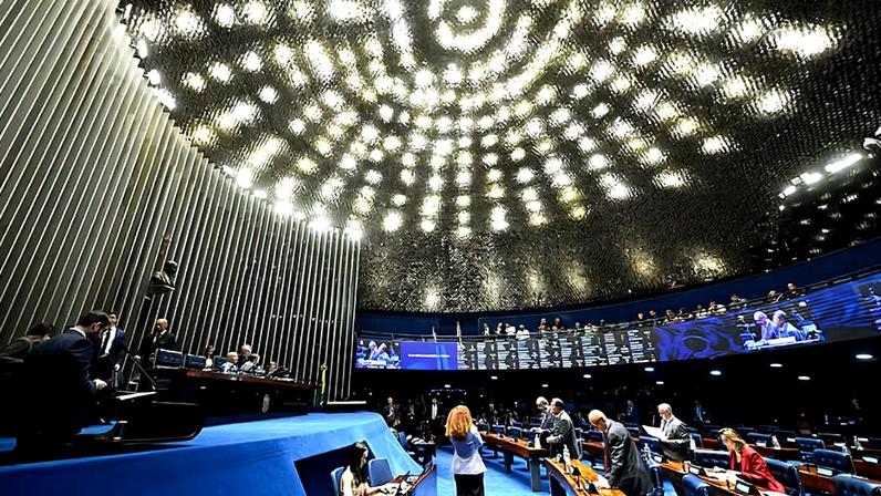 Senado aprova guarda compartilhada de animais em divórcio