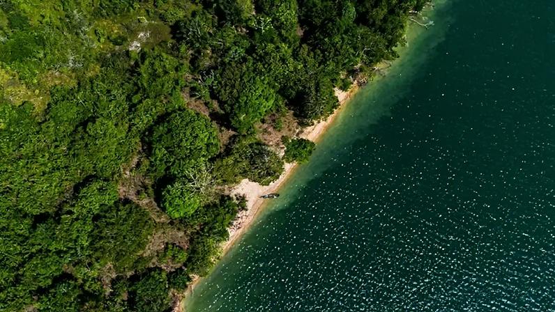 A Foz do Amazonas, região de alta biodiversidade e lar de manguezais e corais únicos, é o epicentro de um dos debates mais sensíveis da política energética brasileira (Lucas Ninno/Getty Images)