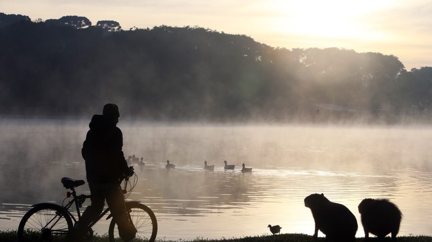 Frio no Paraná