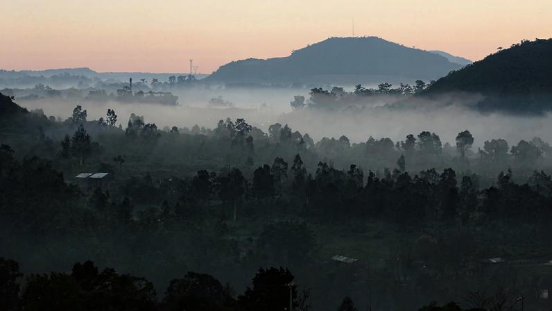 9 de jun. de 2018. Árvores são vistas em meio à névoa de ar durante o amanhecer em Santana do Livramento, no Rio Grande do Sul. — Foto: Fabian Ribeiro/Agência Freelancer/Estadão Conteúdo