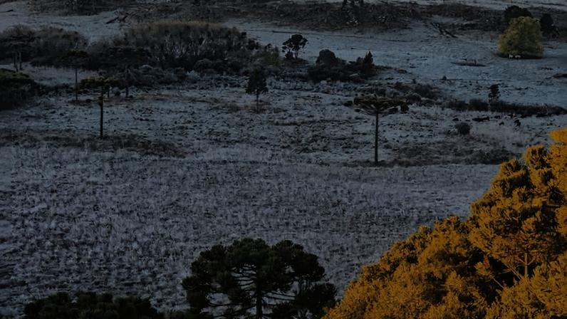 Frio intenso antecipa inverno no Sul e derruba temperaturas abaixo de zero em Santa Catarina | Foto: reprodução