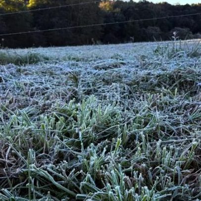 RS terá primeiros dias de frio intenso e geada; Inmet emite aviso