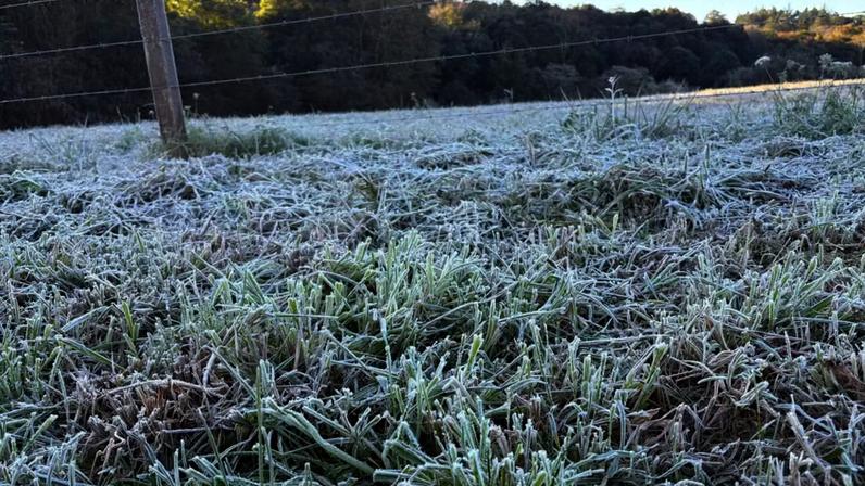 Massa de ar frio vai derrubar as temperaturas no RS e pode provocar geada; Inmet emite aviso para declínio de temperatura — Foto: Inmet/Reprodução
