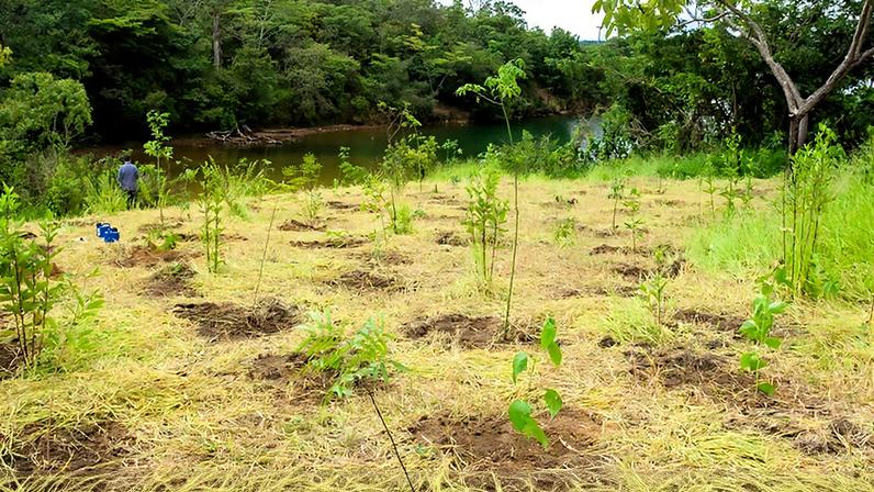 Brasília (DF), 08/04/2026 - Com área de 65,91 hectares, o parque foi criado para preservar recursos ambientais de relevância ecológica e paisagística, além de permitir atividades como pesquisa científica, educação ambiental, turismo ecológico e recreação em contato com a natureza | Foto: João Risi/Seagri-DF