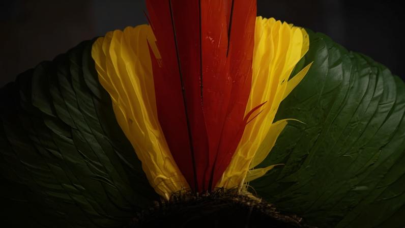 Cocar colorido da tribo indígena Kaiapó, feito com penas de aves amazônicas. — Foto: Getty Images