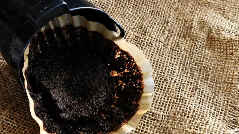 Borra de café no vaso sanitário funciona? Entenda benefícios e riscos do truque de limpeza — Foto: Getty Images