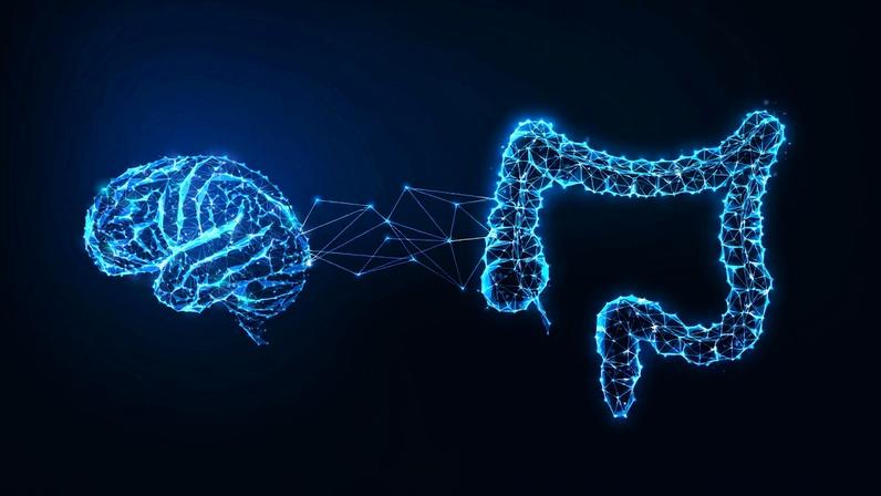 Futuristic gut brain connection concept with glowing low polygonal human brain and intestine