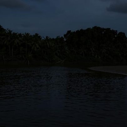 Queda do desmatamento beneficia oceanos e fortalece florestas azuis diz Scherer
