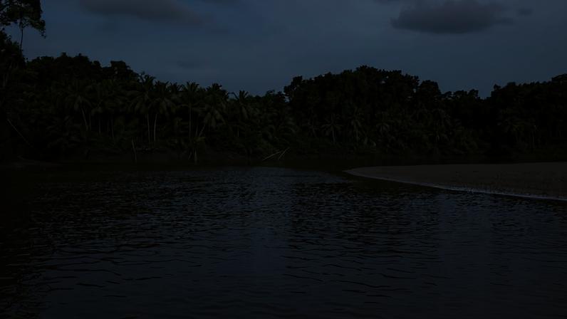 Ilha de Marajó (PA), na foz do Amazonas, região onde águas doces e oceânicas se encontram, sustentam manguezais e ecossistemas costeiros. Conexão tem um apelo econômico para a região.