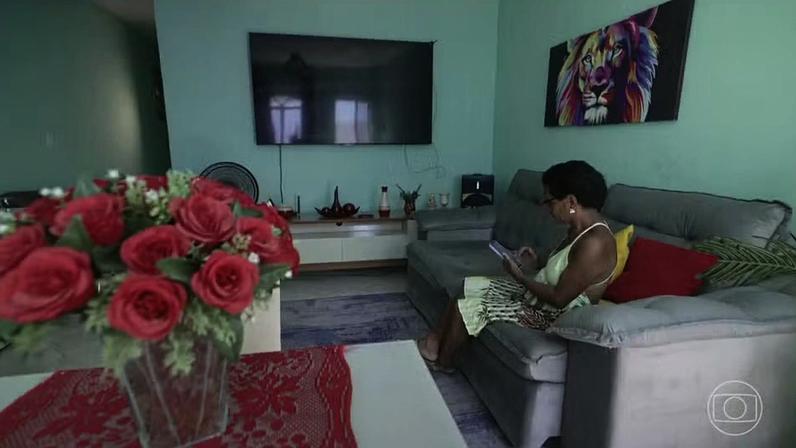 Há cada vez mais brasileiros morando sozinhos, diz IBGE — Foto: Jornal Nacional/ Reprodução