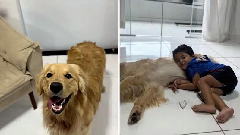 Amizade entre os dois viralizou na web — Foto: Reprodução/redes sociais