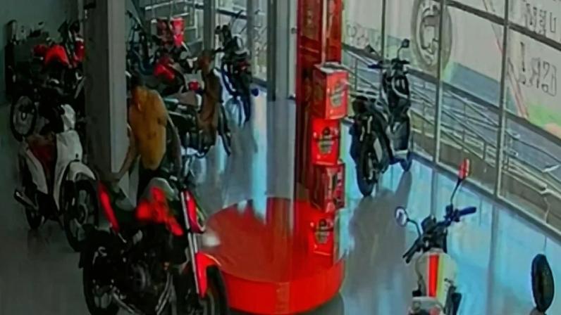 Imagem colorida, MT: polícia investiga homem que furtou motocicleta em plena luz do dia- Metrópoles