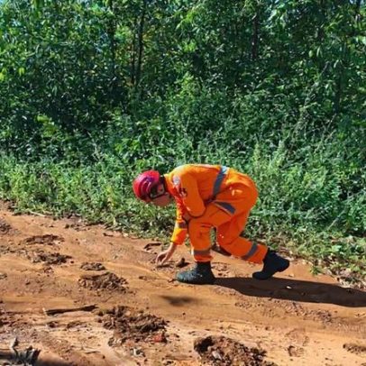 Homem desaparecido é localizado em área de mata em Engenheiro Navarro