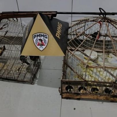 Homem é preso por posse ilegal de arma e manter animais silvestres em Monte Azul