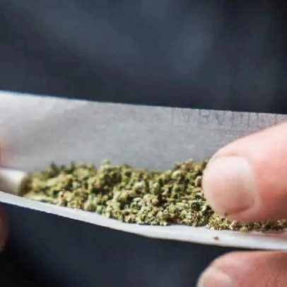 Trump deve reclassificar maconha nos EUA, aponta site