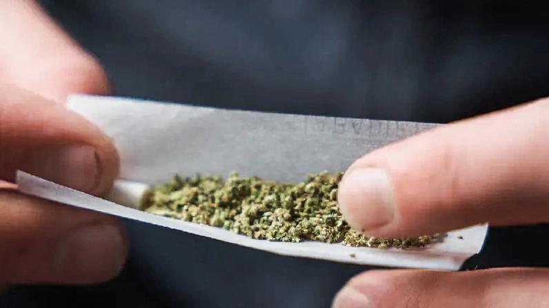 Atualmente classificada no Anexo I, referente a drogas de alto risco, a maconha pode passar a ser considerada uma substância de baixo potencial de abuso