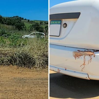 Homem é morto a facadas por amigos durante confraternização em Goiás
