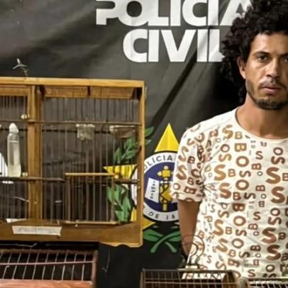 Homem é preso por espancar capivara até a morte na Baixada Fluminense