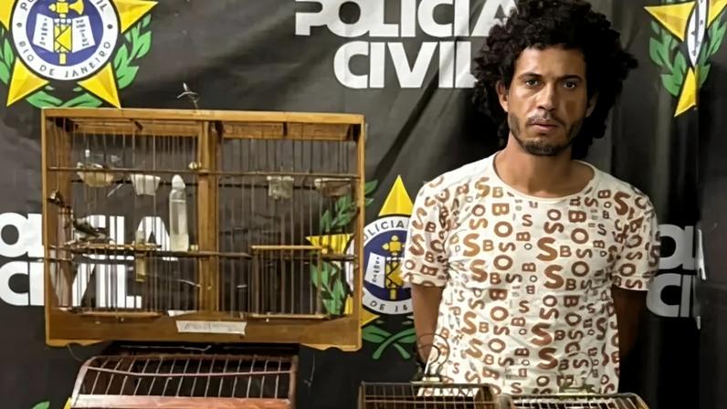 Na casa da mãe do criminoso foram encontrados pássaros silvestres