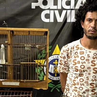 Homem é preso no Rio por matar capivara com chutes na cabeça