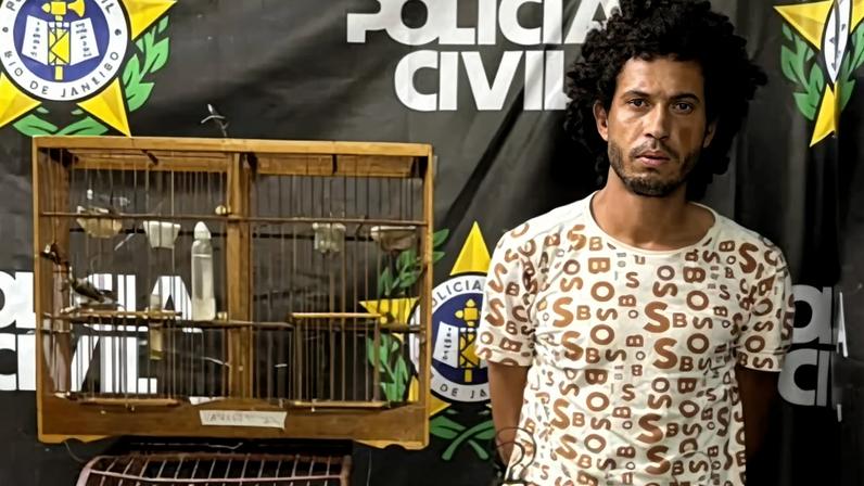 Homem que chutou a cabeça de capivara até a morte é preso no Rio- Metrópoles