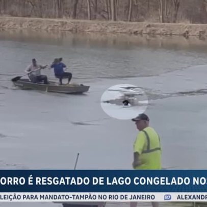 Cachorro é resgatado de lago congelado nos EUA