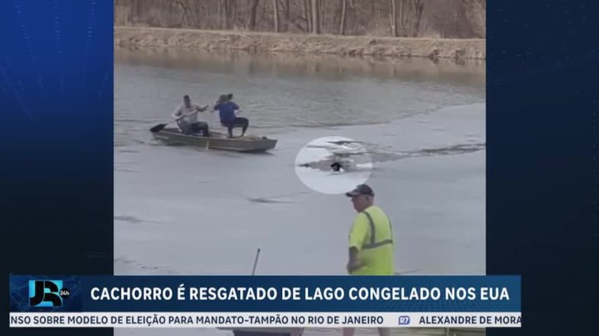 Cachorro é resgatado de lago congelado nos Estados Unidos