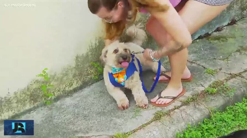Projeto que regulamenta guarda de pets após separação vai à sanção de Lula