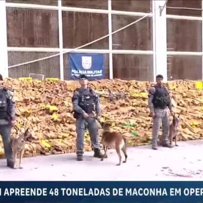 Polícia Militar apreende 48 toneladas de maconha no Rio de Janeiro