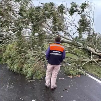 Ciclone extratropical avança pelo RS, causando estragos e prejuízos